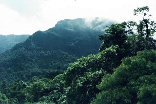 graciosa_2001_18_jpg